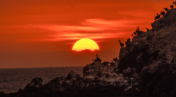 449762967_900593872099899_1933077417109353136_n - Jose Luis Martinez Isla (Pepe).jpg