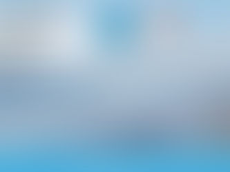 SURFING MEDICINE INTERNATIONAL ERICEIRA