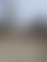 2019 | SANTOS, BRASIL