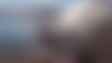 ベイリーのうた