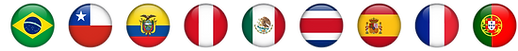 Flags.png