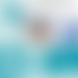 Zwanzigseitige Artikelreihe im Ärzteblatt Rheinland-Pfalz berichtet über PAs!