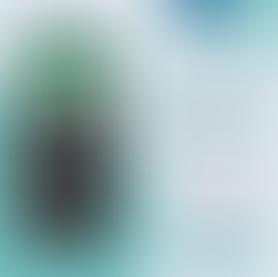 Unser neues Mitgliederportal „easyVerein“ ist da!