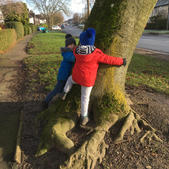 Holding up a tree