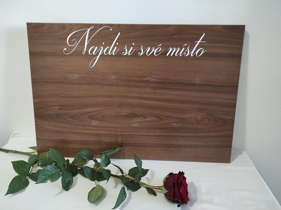 Cedule - zasedací pořádek