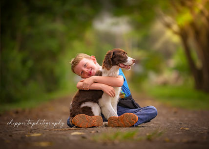 A springer spaniel and his human share a big in a rustic setting on a ranch on the windward side of Oahu, Hawaii