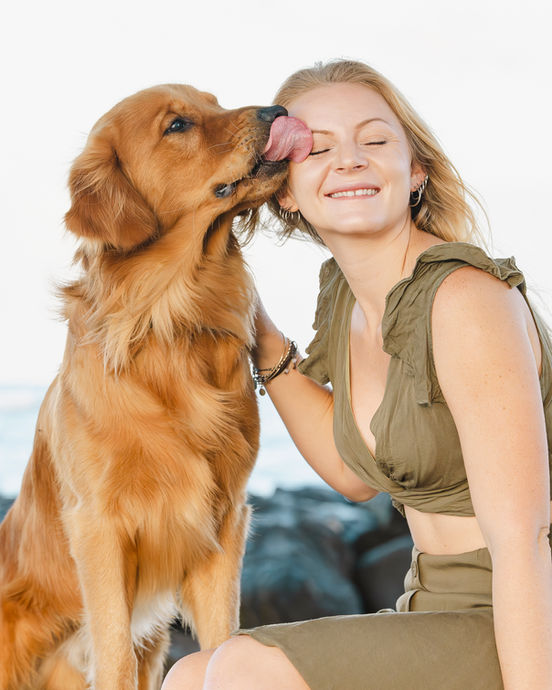 A beautiful woman with her golden retriever in Waikiki, Oahu, Hawaii