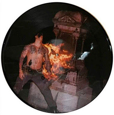Miniatura: BLASPHEMY - Fallen Angel Of Doom -LP (Red Artcover, Picture Vinyl (band members)