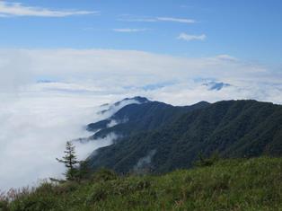 中央の尾根は小金沢連嶺