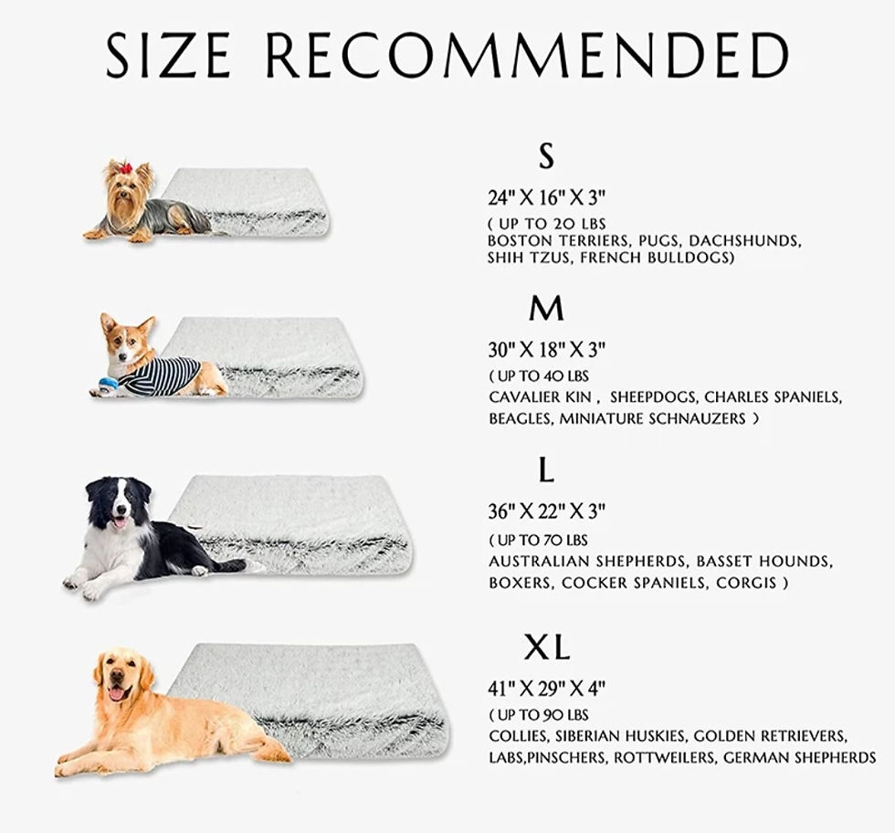 Thumbnail: Pet's Caroline Bed 