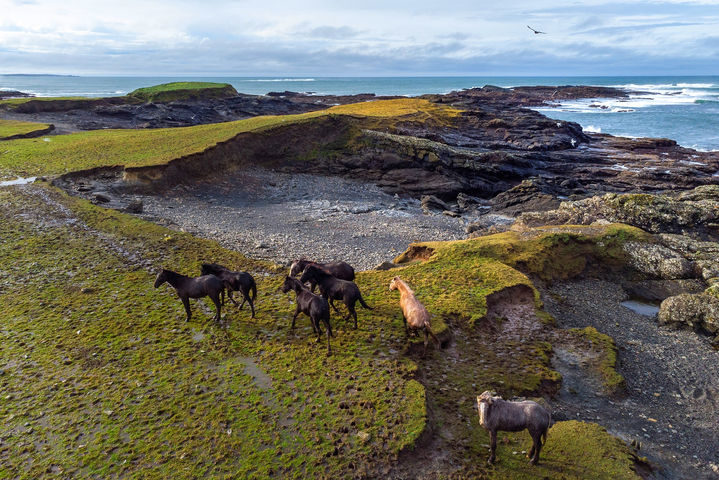 Sun 31 Jan 2021 - Co. Clare -4.jpg