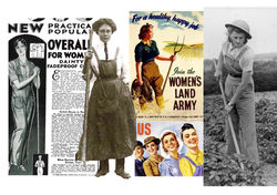 argene Reference board 