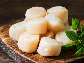 Our scallops wild-caught in some of the cleanest waters on earth, they offer a naturally sweet flavor, firm texture, and nutrient-rich profile that chefs and families alike can trust.