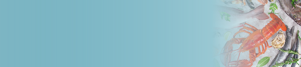 bg2_Website Banner.png