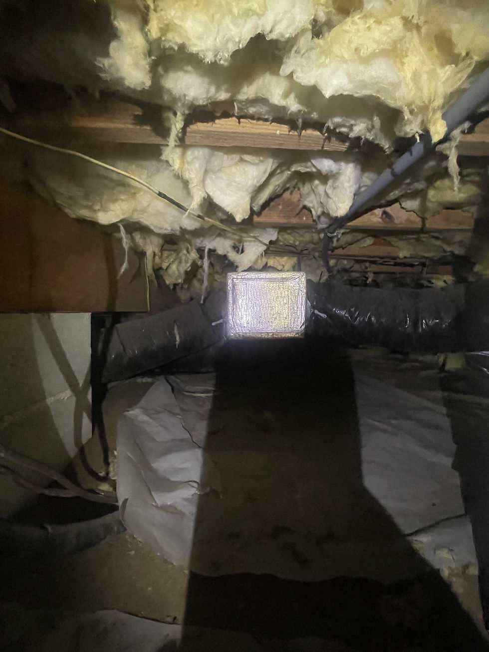 CRAWL SPACE 8