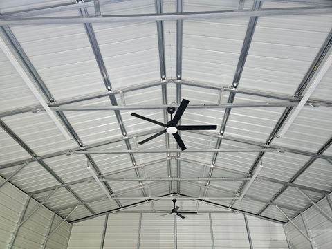 Ceiling fan with lights