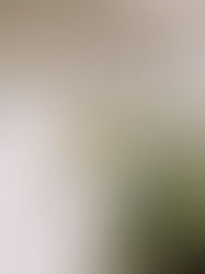 When Spring arrives at the Table - a Gentle Guide to setting a Spring Table