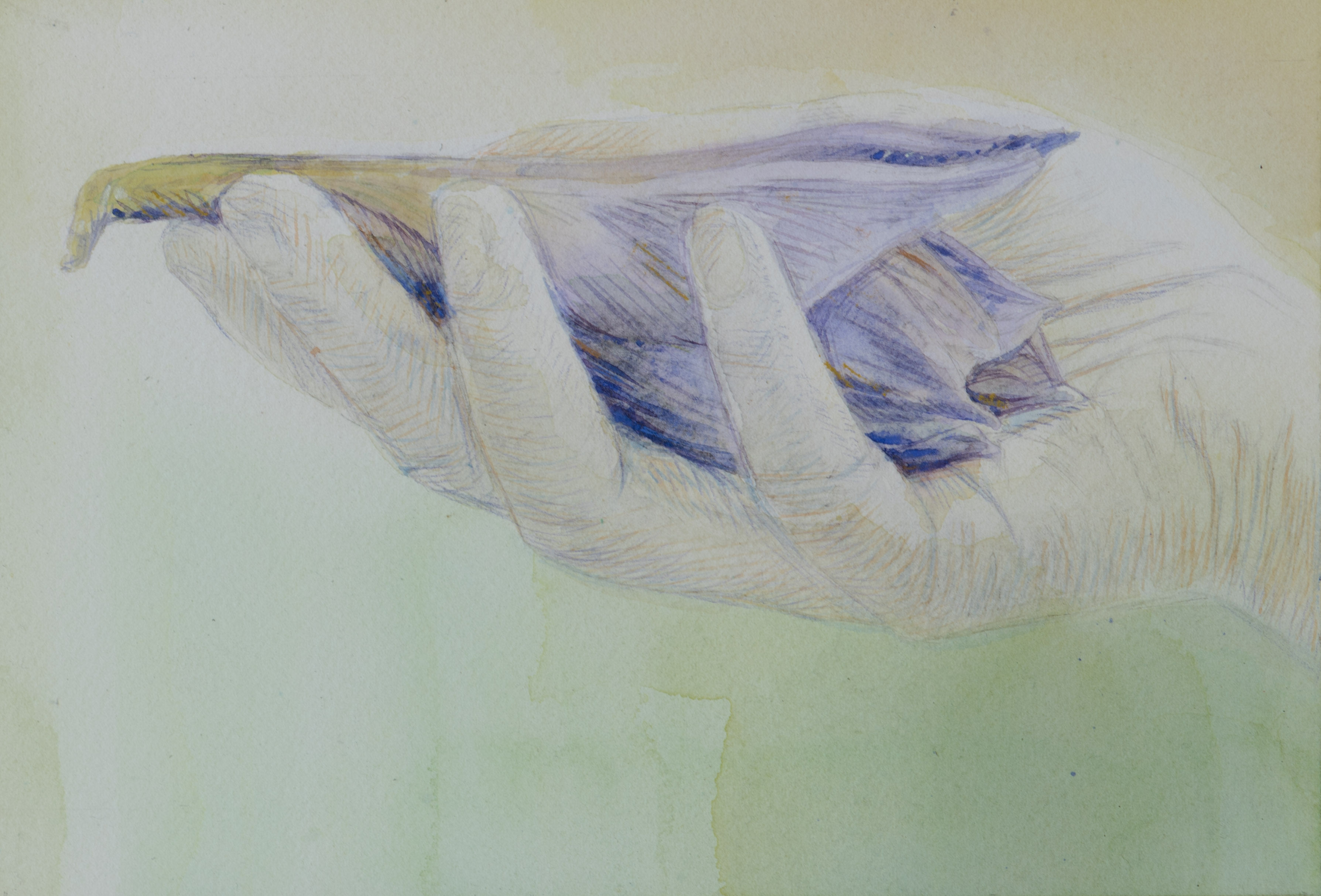 Main fleur violette fond vert - Iris Levasseur