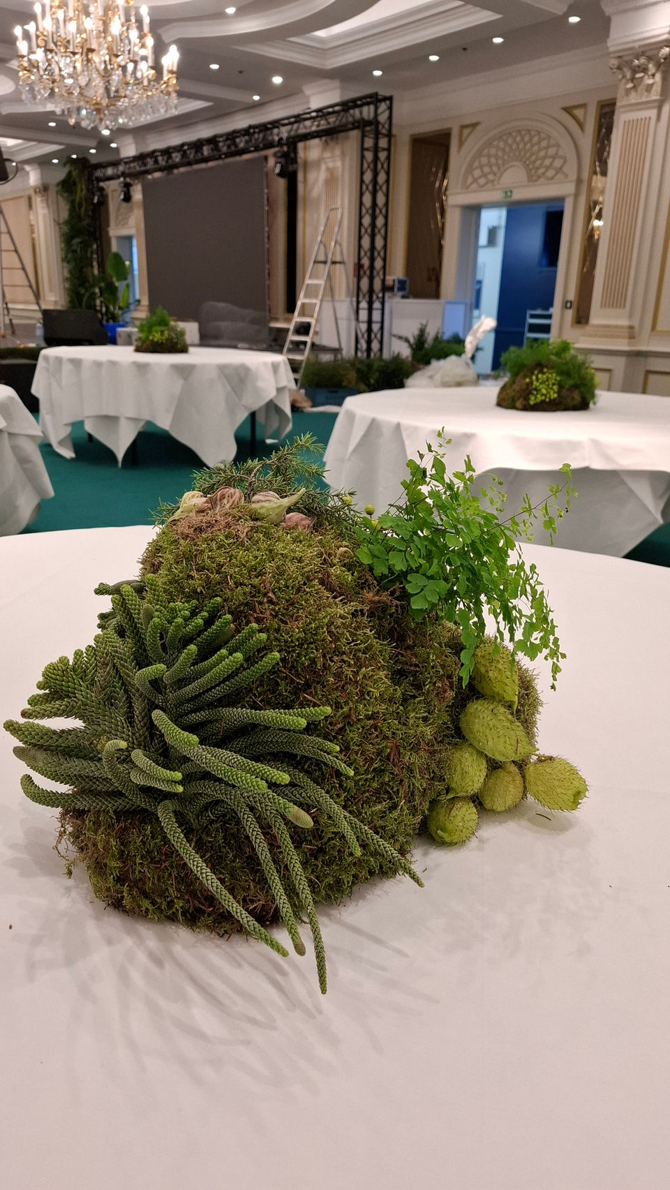 Sculpture végétale forme de petits rochers, pour le Elle Belgique, au Steingenberger Wiltcher's, Women of the year 2024.