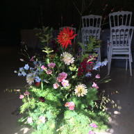 IMG_4026.jpeg