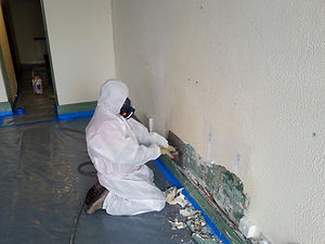 Top Shelf Property Maintenance asbestos removal photo #1.jpg