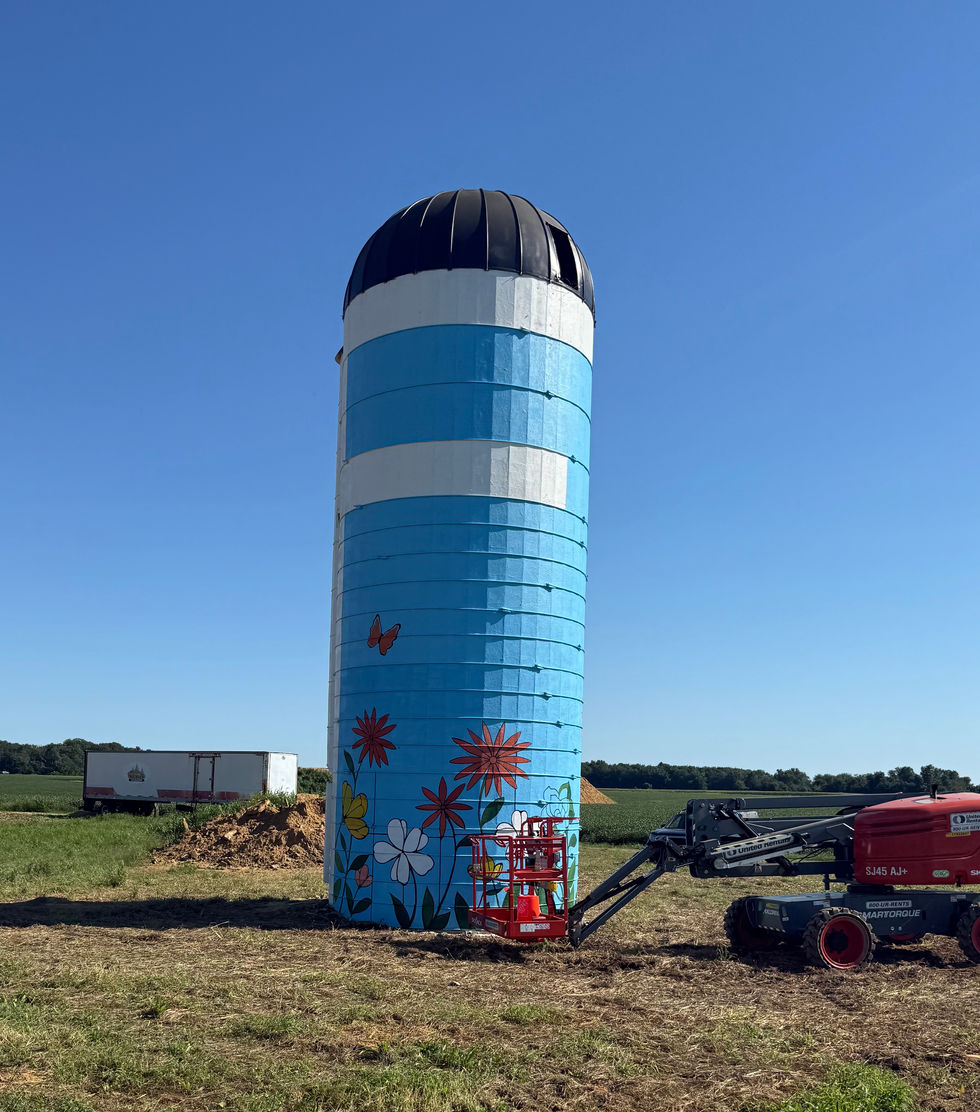 image of a Mural being painted on the sides of a silo