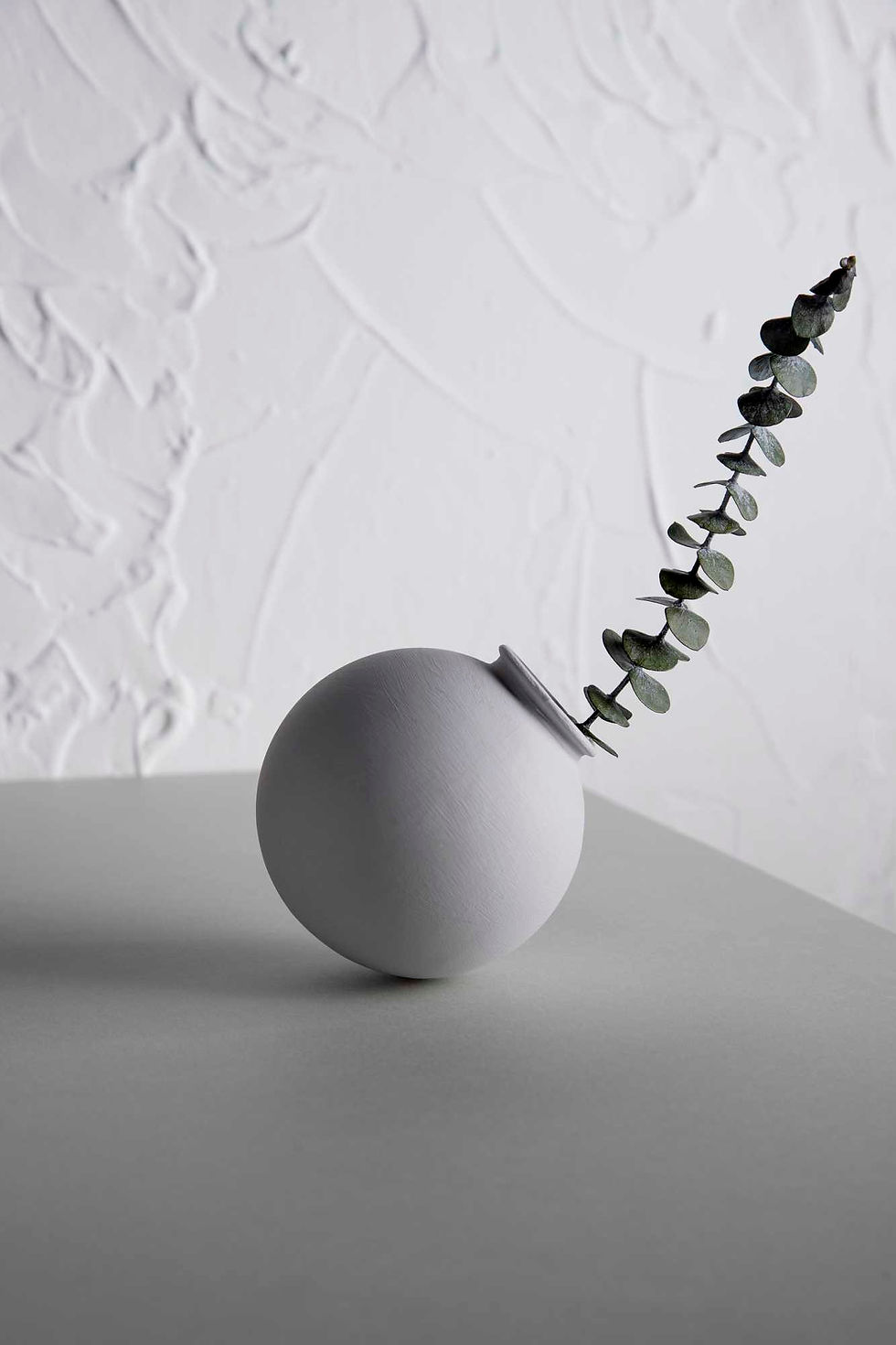 front-view-plant-with-leaves-round-vase.jpg