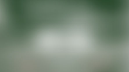 Handball | Spieltagsvorschau 07. Mai 2022