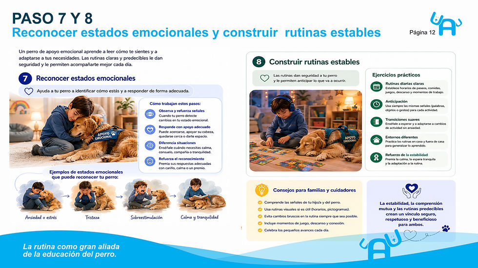 12.Paso 7 y 8 GPAE