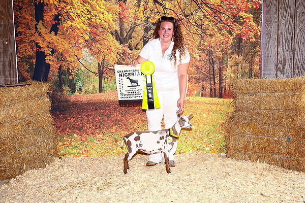 Stella Grand Champion.jpg