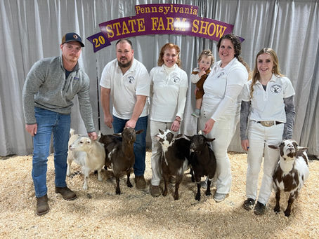 Are Boer Goats in Our Future????