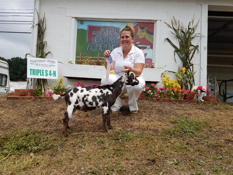 Goats a 20 Year Tradition