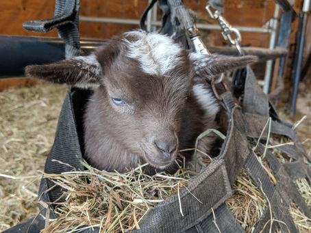 Rejection during Quarantine.....