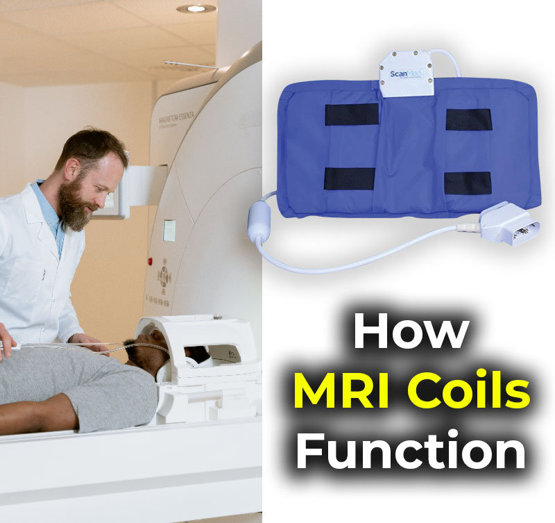How MRI Coils Function