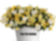 Thumbnail: Trixies, Confetti Gardens and MixMasters