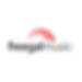 Logo image of Freegal Music