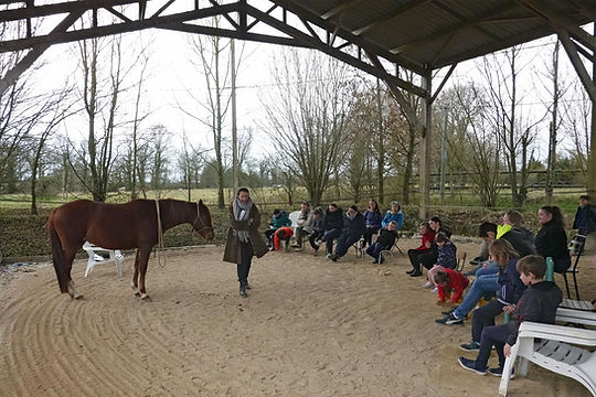 decouvrir cheval manege