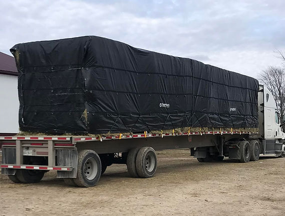 tarped.jpeg