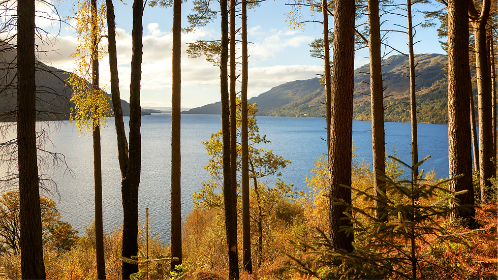 Loch Lomond