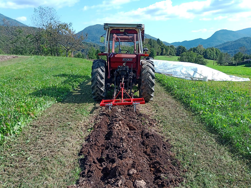 WhatsApp Image 2025-12-16 at 13.07.20