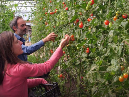 The Future of Living Soil Garden