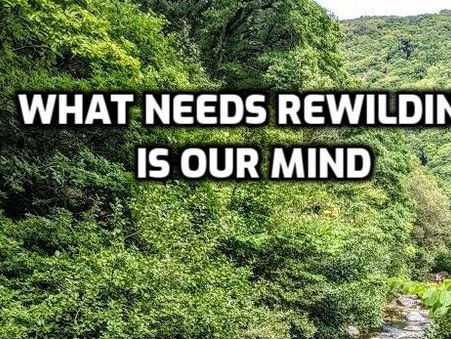 What needs rewilding?