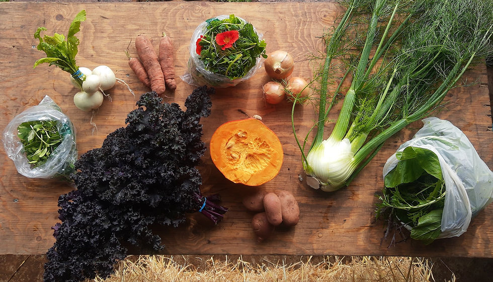 Thumbnail: Veg Box (Large) - 17 weeks