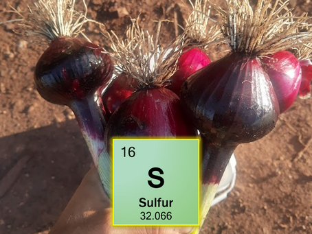 Sulphur: the enabler