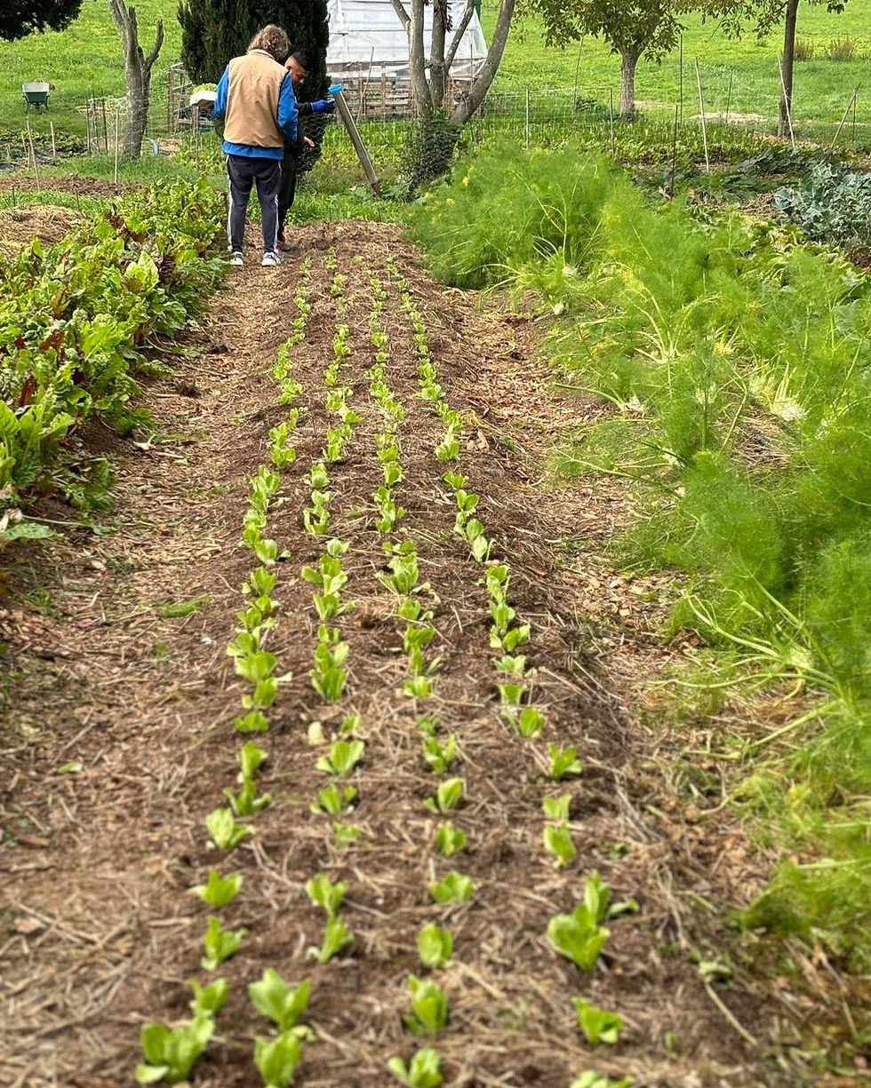 482079202_623904827063527_2234004782697965354_n