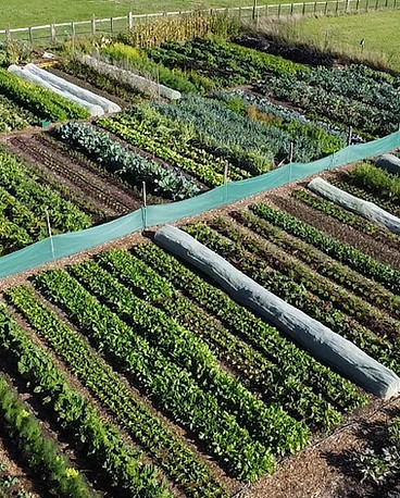 dji_fly_20221002_154956_0_1664722196868_photo_low_quality.jpg