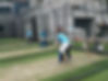 cricket2