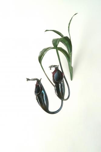 Naga Naga