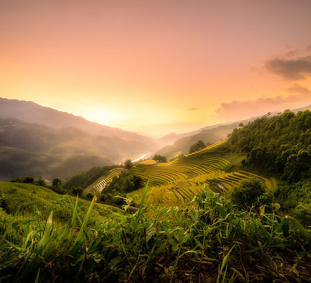 Sunset over farm