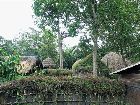 Exploring the Natural Life of the Dani Tribe and the Vibrant Baliem Valley Festival